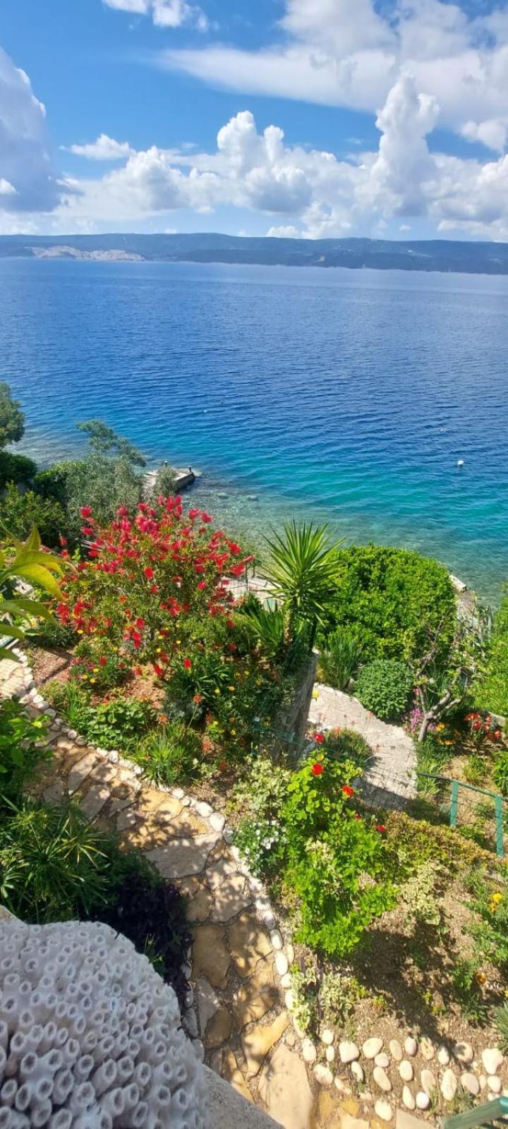 Apartment Toncica Omiš Εξωτερικό φωτογραφία